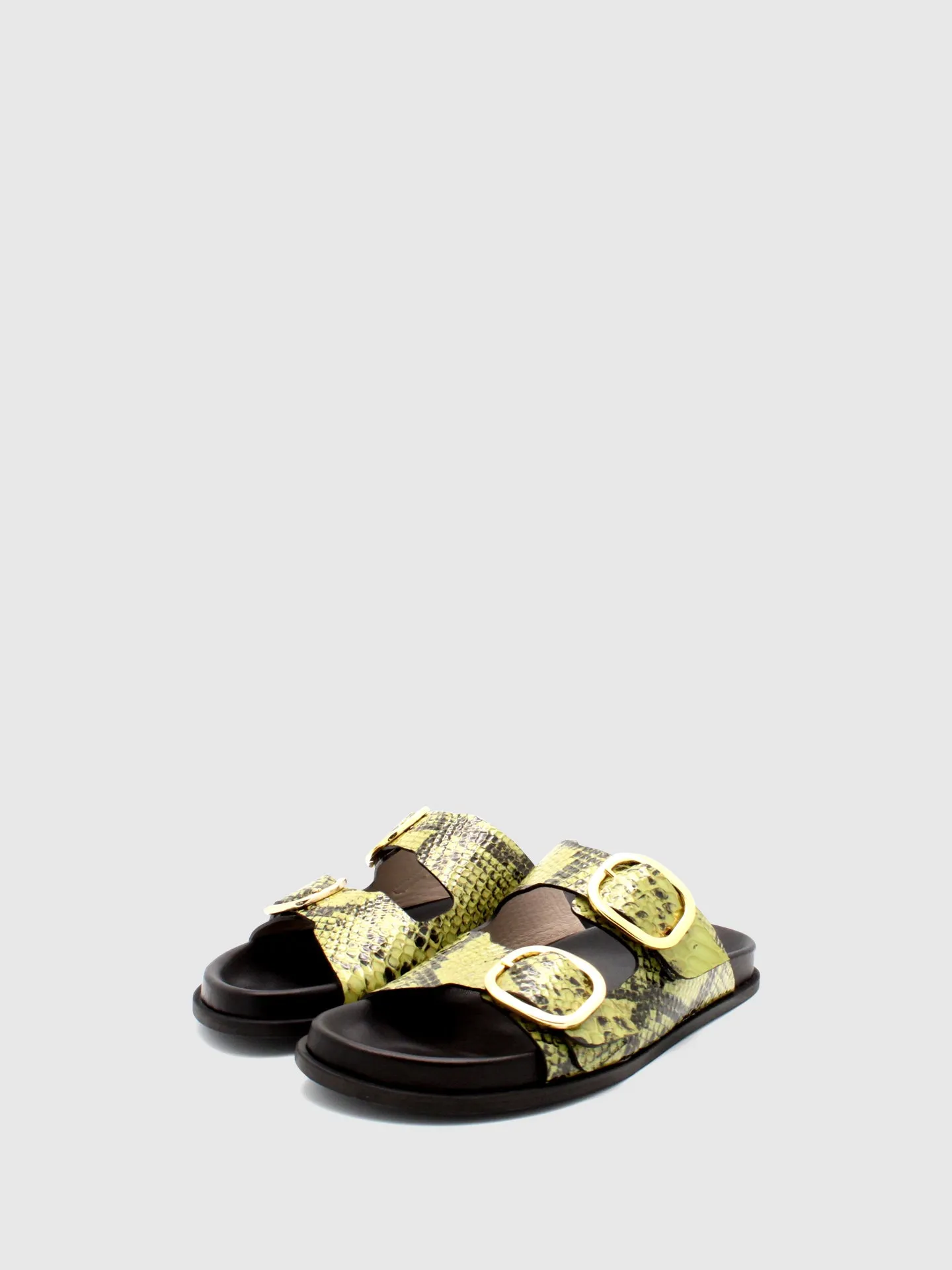 Buckle Sandals Chicória Khaki