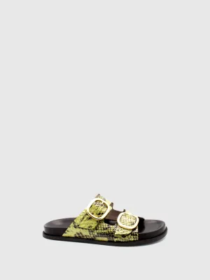 Buckle Sandals Chicória Khaki