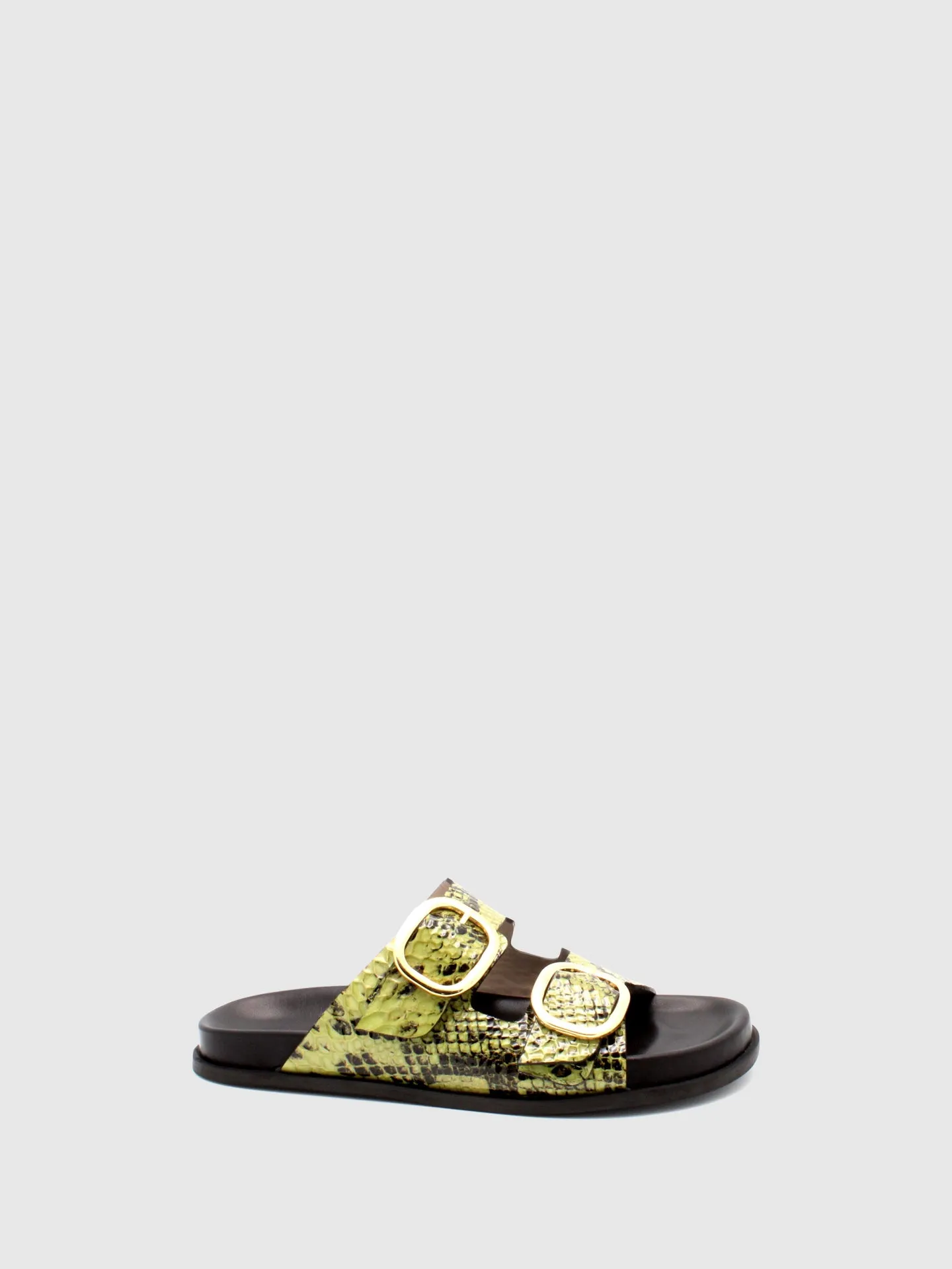 Buckle Sandals Chicória Khaki